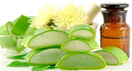 آیا مصرف موضعی آلوئه ورا در حاملگی ضرر دارد؟