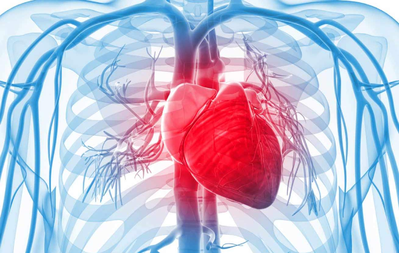 عامل اصلی بروز بیماری‌های قلبی چیست؟