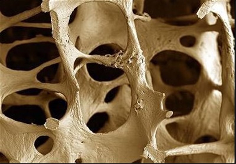 تولید بافت سه بعدی برای ترمیم غضروف و استخوان