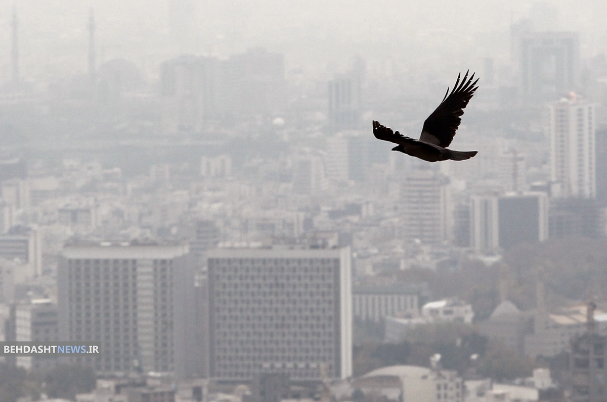 تصویب دو مصوبه کلیدی درباره آلودگی هوا در دولت