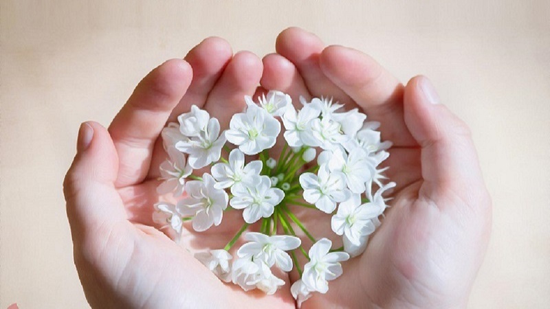  6 تکنیک معنوی برای افزایش رزق و روزی