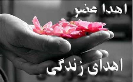 کودک مرگ مغزی به یک بیمار زندگی دوباره بخشید