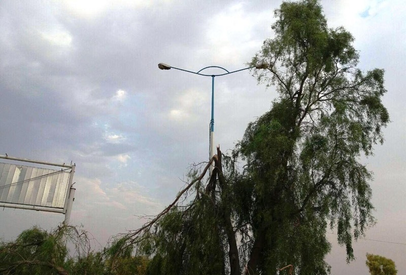  تندبادی با سرعت 80 کیلومتر اهواز را در نوردید