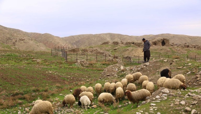 احتمال وقوع سیل؛ عشایر از ارتفاعات و مسیل ها دوری کنند