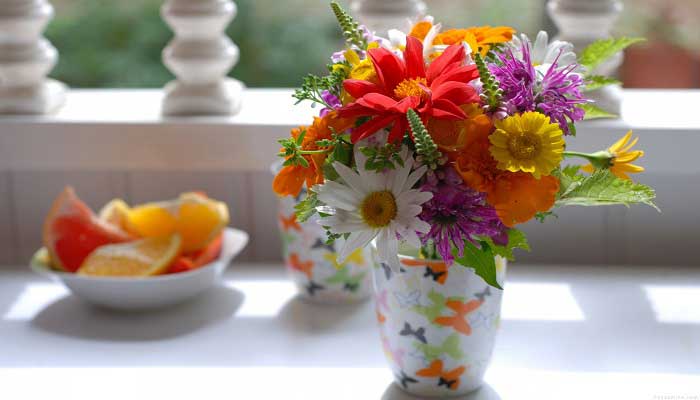 10 راز افزایش عمر گل های تازه