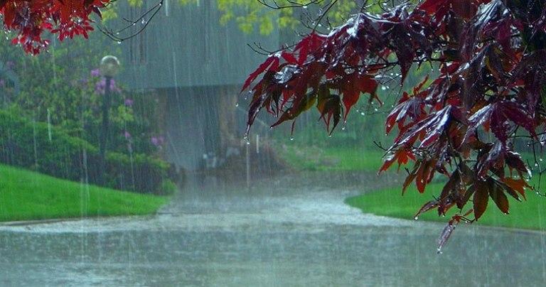 رگبار باران و وزش باد شدید در برخی مناطق کشور