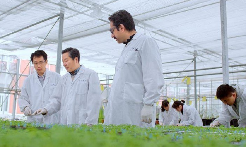 چین با کمک یک متخصص ایرانی داروی مالاریا ساخت