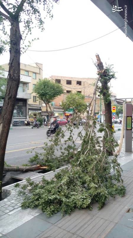 خسارت تندباد در خیابان امام خمینی تهران + عکس
