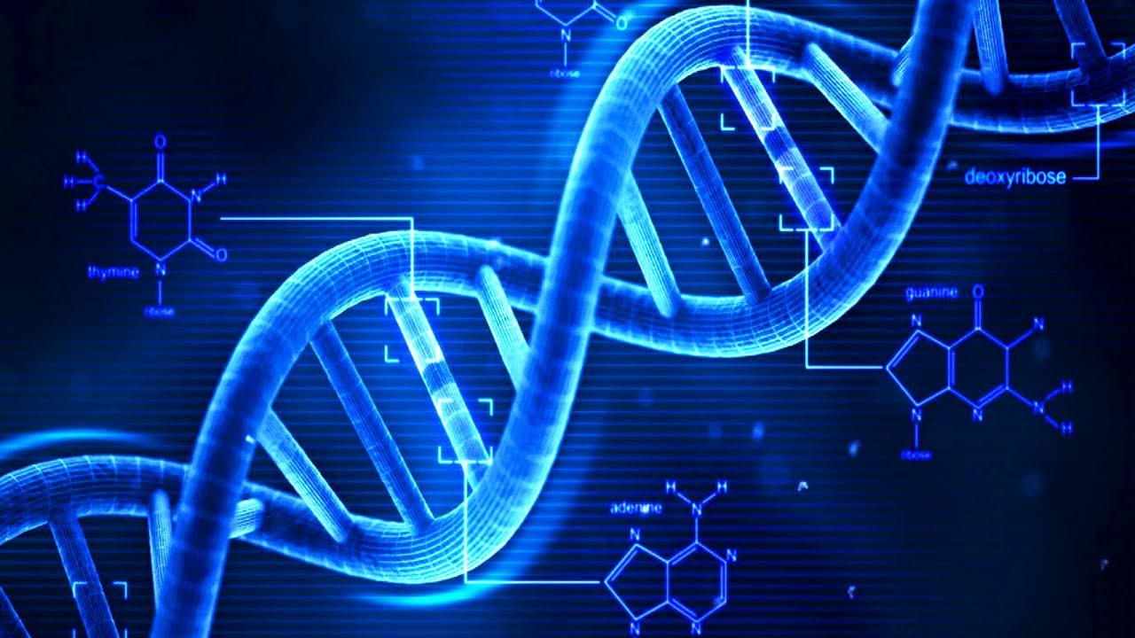  خانواده‌های 13 تن از مفقودین حادثه پلاسکو آزمایش DNA دادند