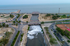 ساحل آلوده خلیج فارس