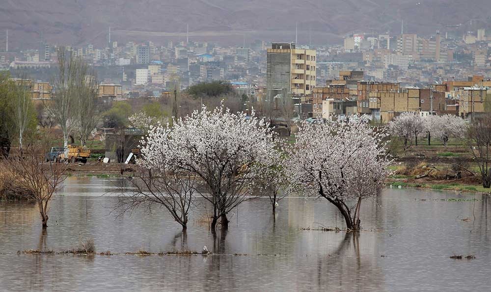 اخطاریه هواشناسی برای تهران و 7 استان دیگر 