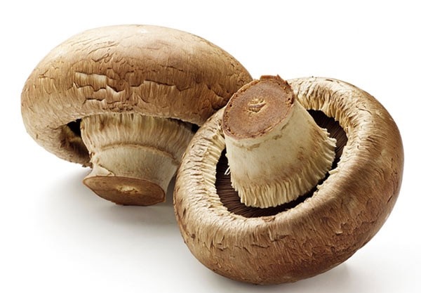 ضرورت خودداری از مصرف قارچ‌های فله غیربسته بندی، غیر پرورشی و خودرو