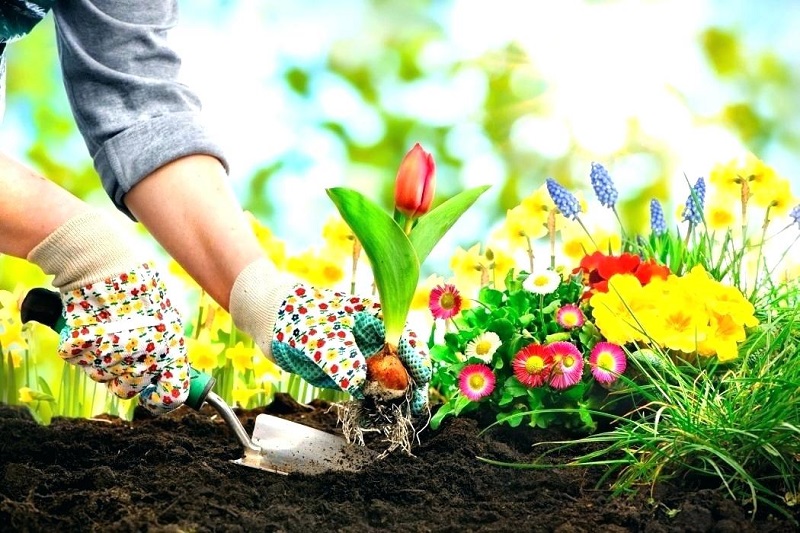 کارهای خوب را حتما یک بار تجربه کنید 
