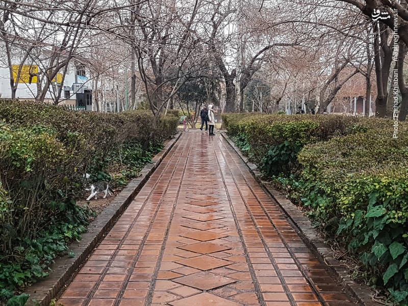  پیش بینی آسمان بارانی برای تهران