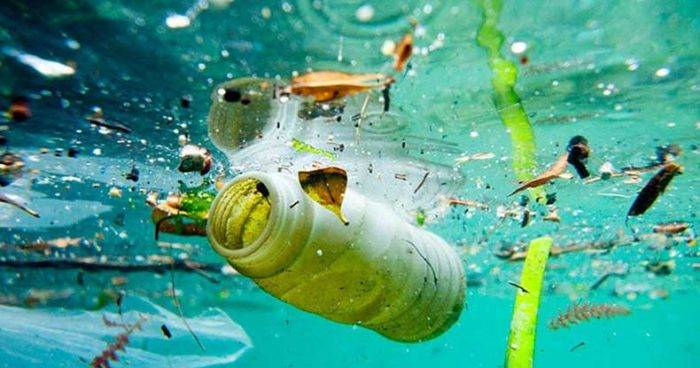 با هر وعده غذایی بیش از 100 الیاف پلاستیک می‌خورید