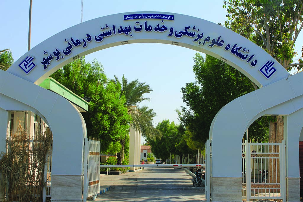 طلب ۱۱۰ میلیارد تومانی دانشگاه علوم پزشکی بوشهر از بیمه‌ها 