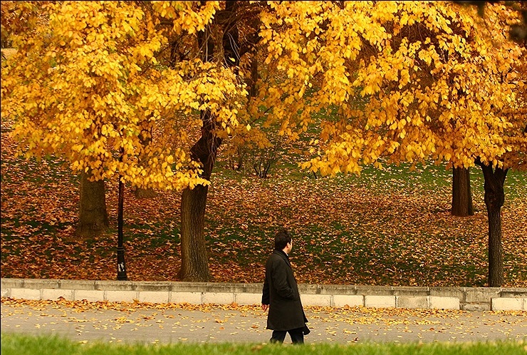 تهران «پاییز» ندارد! 