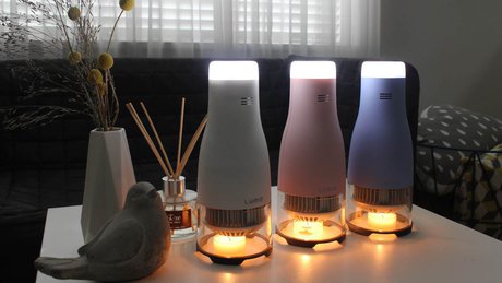 تاثیر سایه‌ نور LED بر حیات‌وحش