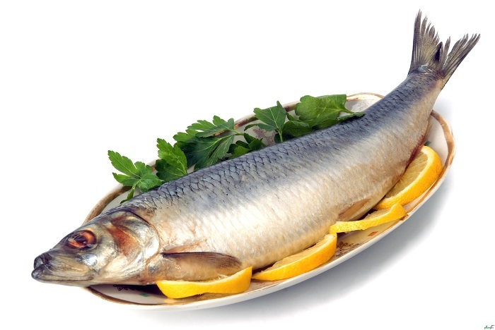 مزایای فوق العاده مصرف ماهی برای زنان باردار