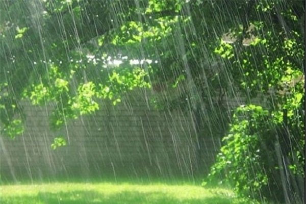 بارش باران در استان های شمالی