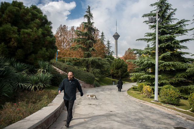  احتمال افزایش غلظت ذرات معلق در تهران