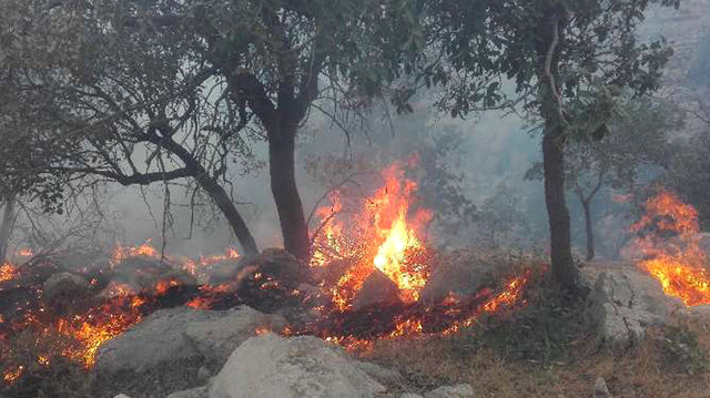آتش‌سوزی در 15 هکتار از جنگل‌ها و مراتع بهمئی