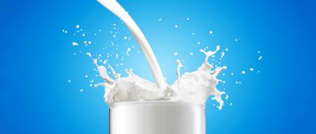 از خواص بی نظیر شیر الاغ چه می دانید؟