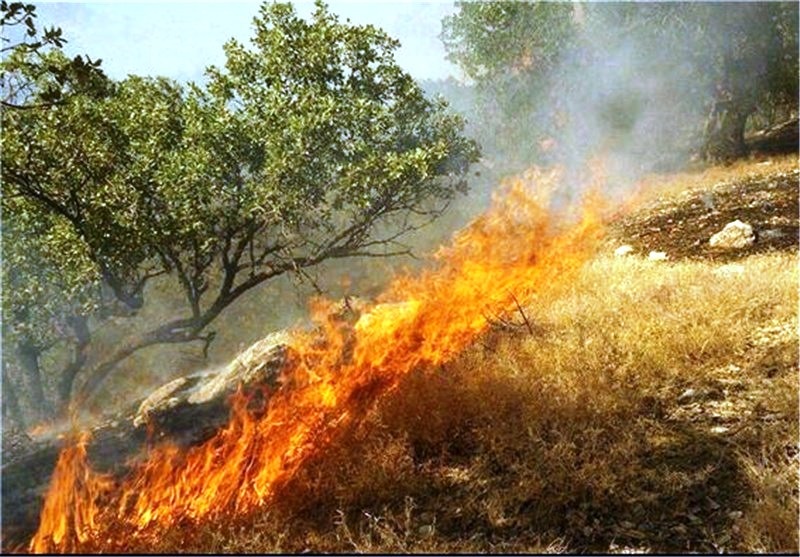 3 هکتار جنگل در مانه و سملقان دچار آتش سوزی شد