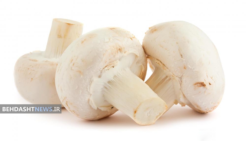  مصرف قارچ از بروز آلزایمر پیشگیری می‌کند