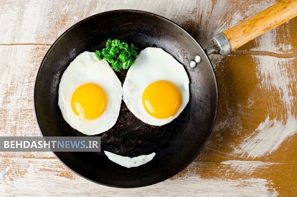 همه فواید تخم مرغ
