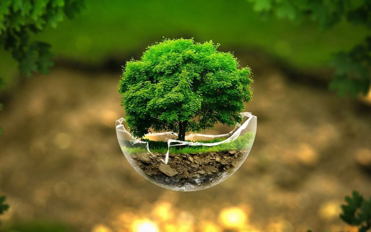 افزایش آگاهی پیش شرط حفاظت صحیح از محیط زیست 