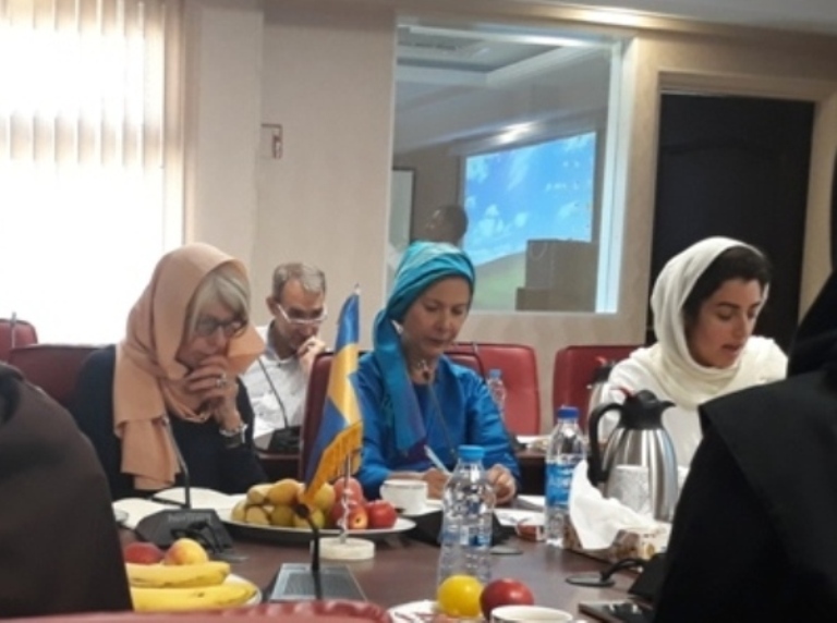 سفیر سوئد: خدمات  ایران در زمینه حمایت از زنان قابل ستایش است