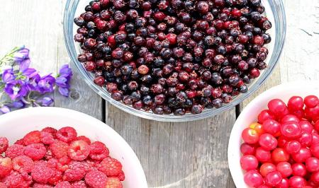 باید و نبایدهای غذایی برای نقرسی‌ها