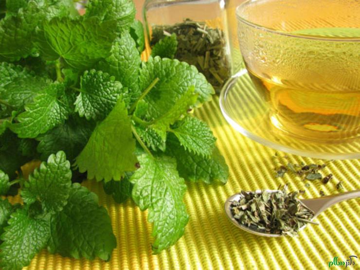 لاغری سریع را با مصرف این گیاه تجربه کنید