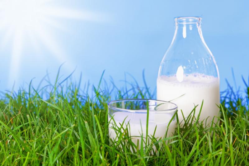 شیر و آفتاب را فراموش نکنید