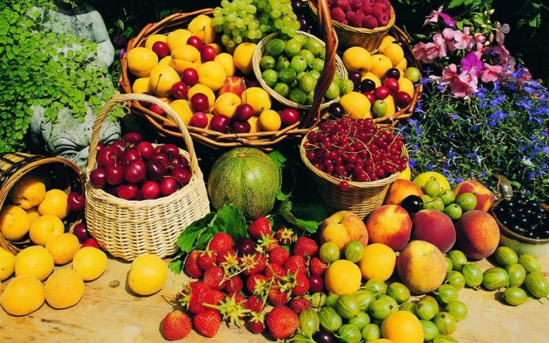  رفع خستگی با نسخه‌های طبیعی