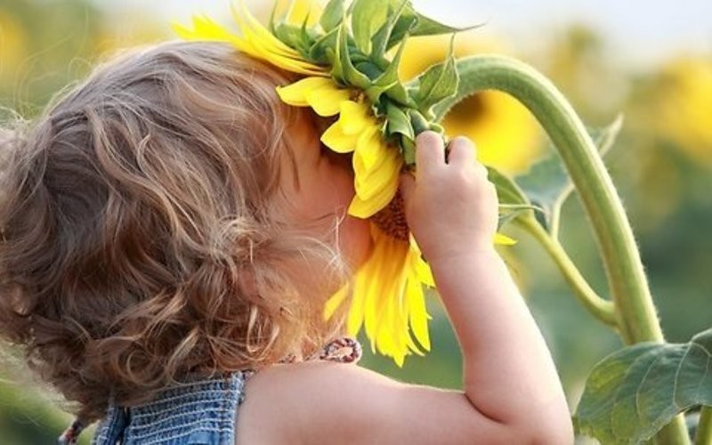  «بو» چه تاثیری روی مغز انسان دارد؟