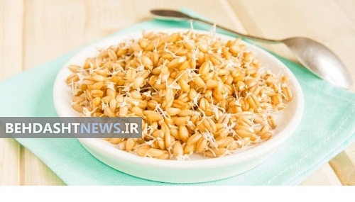 جوانه گندم بخورید، سرما نخورید
