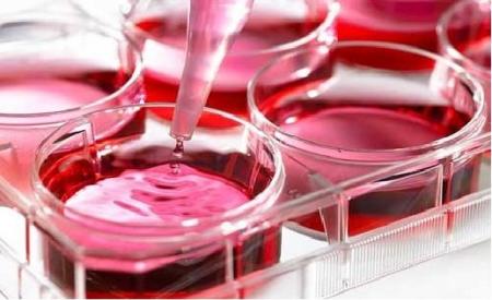 روش‌های پیشگیری از سرطان در اولویت پژوهش‌های زیست‌فناوری