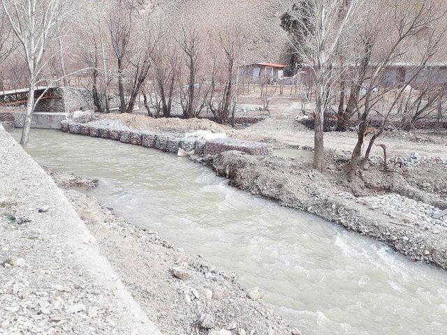 شمارش معکوس برای مرگ جاده چالوس