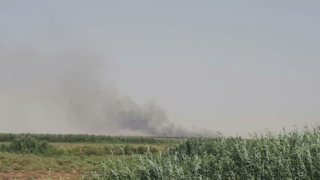 ادامه تلاشها برای خاموشی آتش در بخش عراقی تالاب هورالعظیم