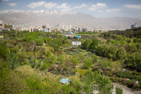 بخشنامه جدید شهرداری برای ممنوعیت کاشت چمن در تهران