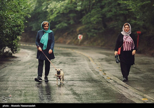 بارش باران تابستانی در گرگان + عکس