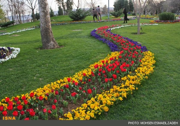 اعتراض انجمن متخصصان فضای سبز به ممنوعیت 