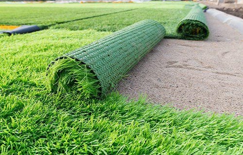 کدام گیاهان خوراکی می تواند جایگزین چمن باشد؟