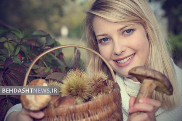 برای عدم ابتلا به آلزایمر قارچ بخورید 