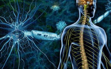 سلول درمانی، جرقه امید برای بیماران مبتلا به ام اس