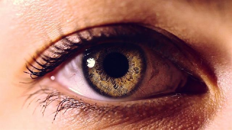  چشمها علائم کدام بیماریهای خطرناک را هشدار میدهند؟