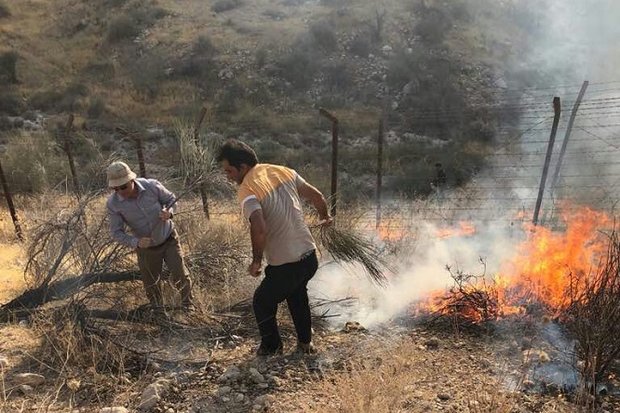 حریق در جنگل ابر شاهرود