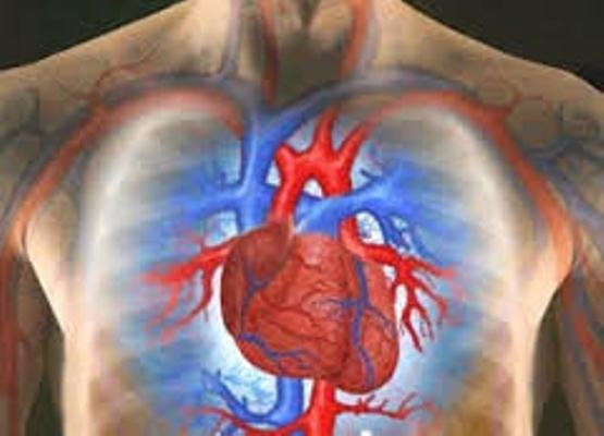 شیوع بیماری های قلبی در کشور؛ در پیشگیری برنامه نداریم